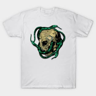 Snakes on the head T-Shirt